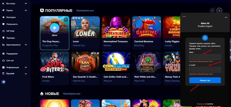Лайв чат